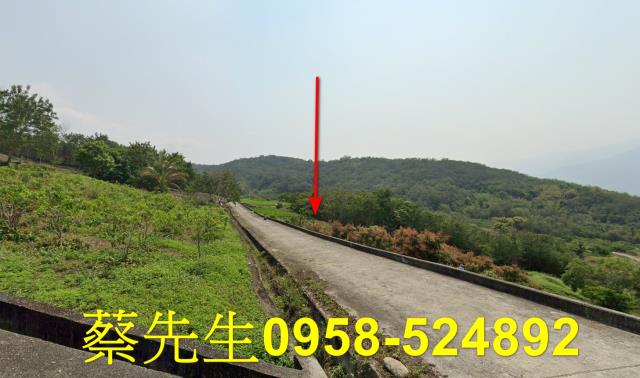 池上法拍農地-0