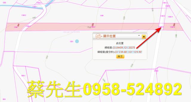 池上法拍農地-6