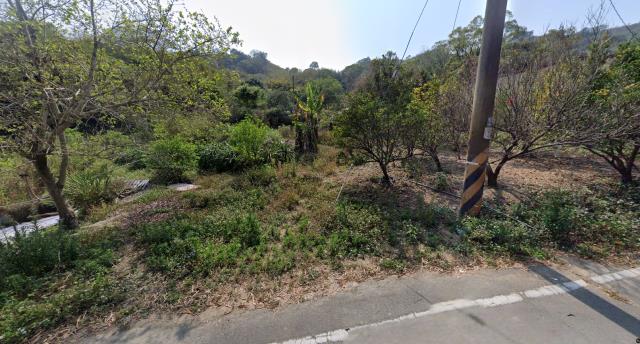 東勢法拍農地-0