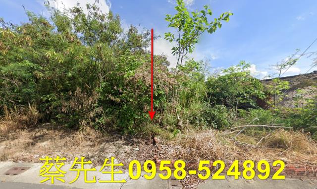 義竹建地法拍-0