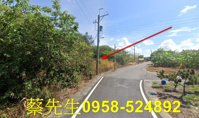 義竹建地法拍-6