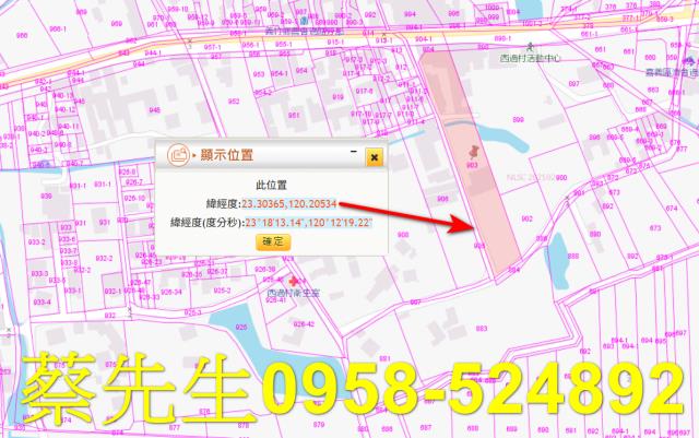 義竹建地拍賣-9