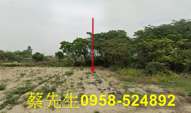 義竹建地拍賣-0