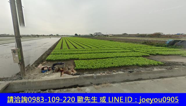 雲林農地法拍-10