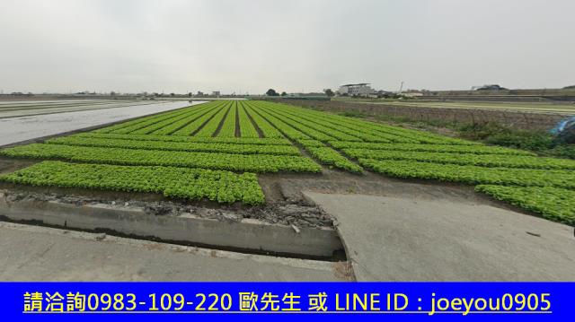 雲林農地法拍-3