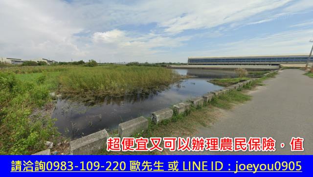 嘉義東石農地拍賣-2