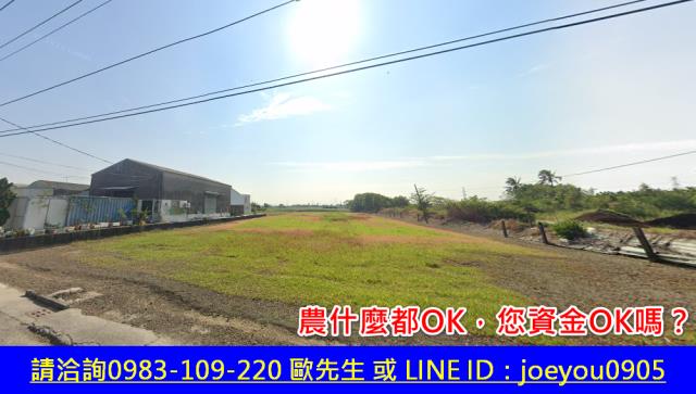 仁德法拍農地-9