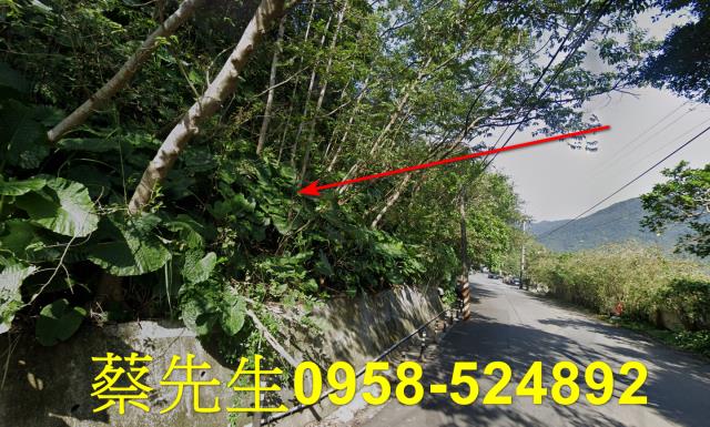 新北萬里農地法拍-13