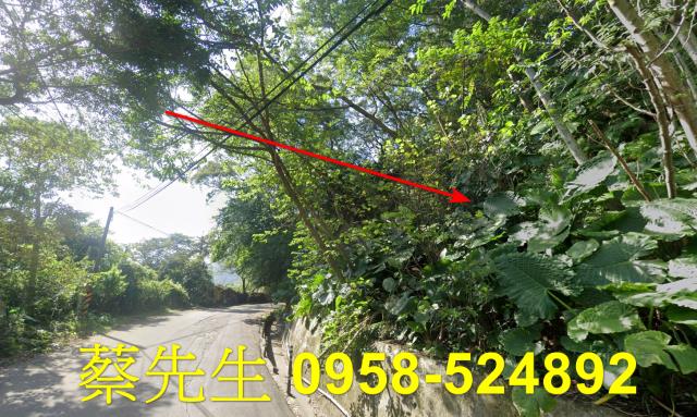 新北萬里農地法拍-8