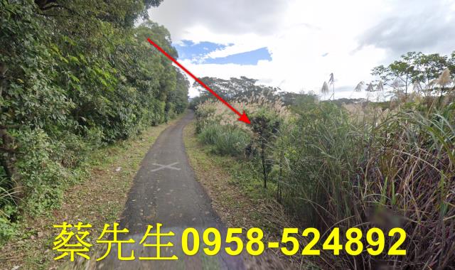 新北法拍農地-12