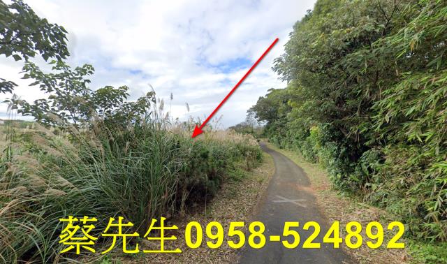 新北法拍農地-14