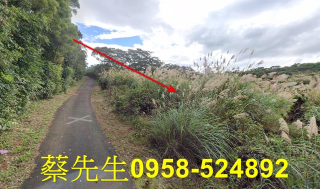 新北法拍農地-3