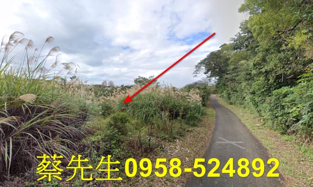 新北法拍農地-5