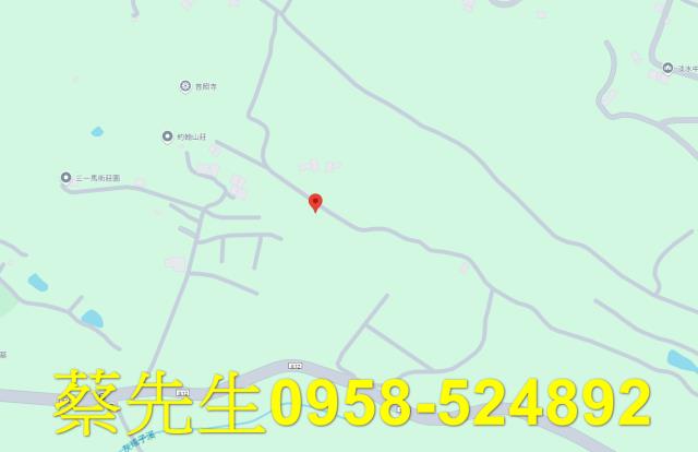 新北法拍農地-7