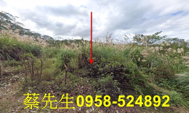新北法拍農地-8