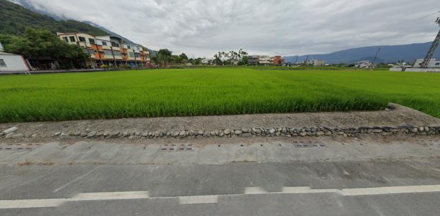台東關山法拍農地-7