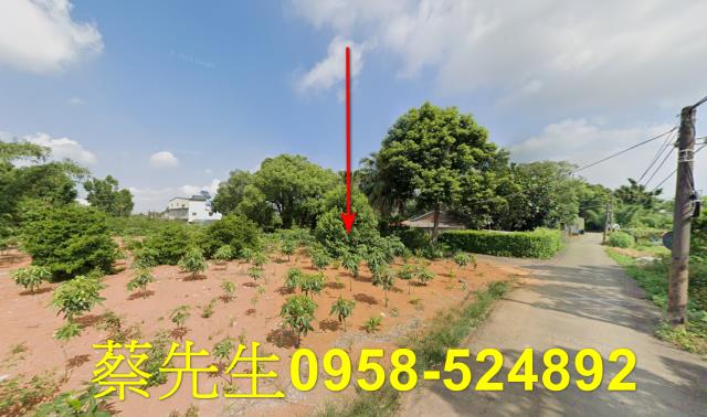 平鎮農地法拍-14