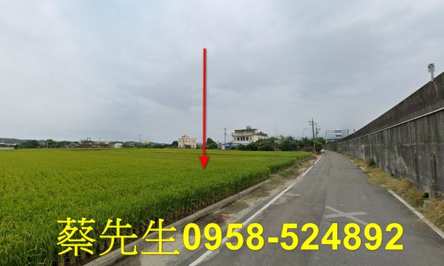 後龍法拍農地-13