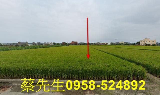 後龍法拍農地-0