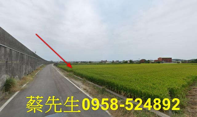 後龍法拍農地-4