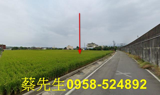 後龍法拍農地-6