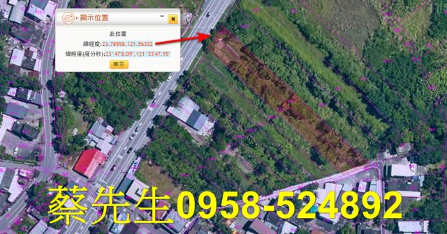 壽豐農地法拍-10