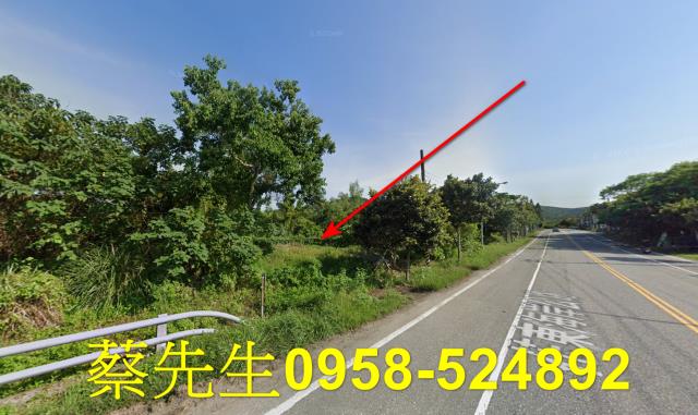 壽豐農地法拍-13