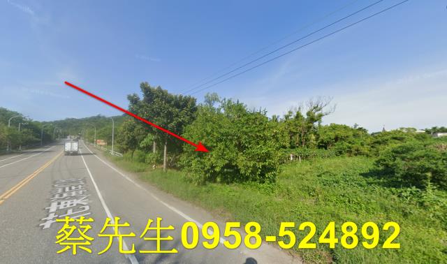 壽豐農地法拍-14