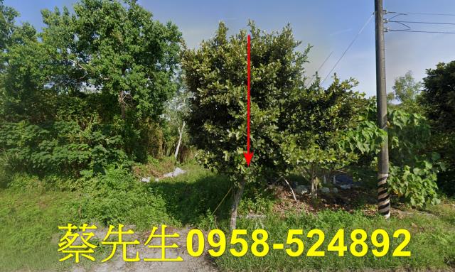 壽豐農地法拍-0