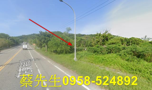 壽豐農地法拍-4