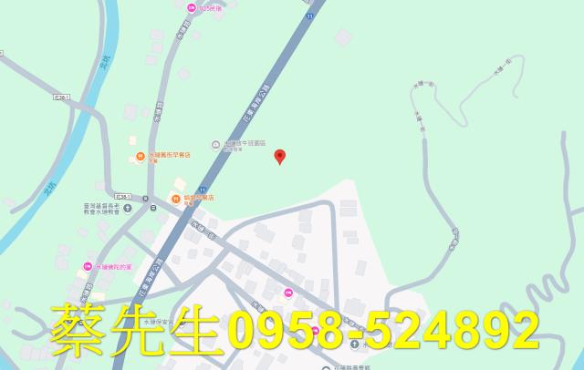 壽豐農地法拍-7