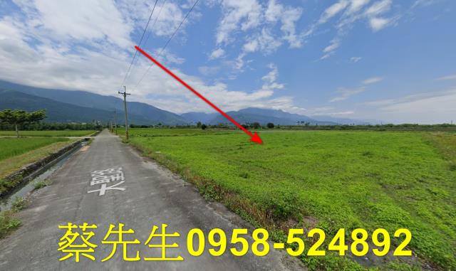 鳳林農地法拍-12