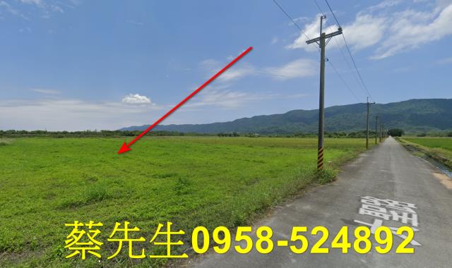 鳳林農地法拍-3