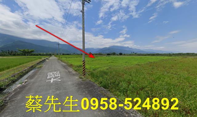 鳳林農地法拍-6
