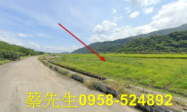 玉里拍賣農地-13