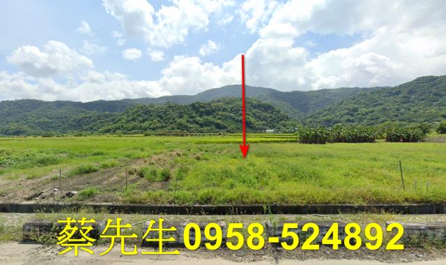 玉里拍賣農地-0