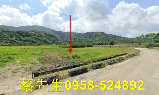 玉里拍賣農地-3