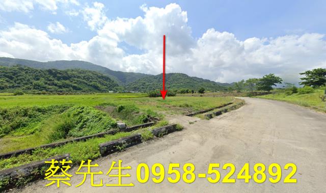 玉里拍賣農地-4