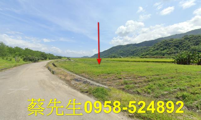 玉里拍賣農地-6