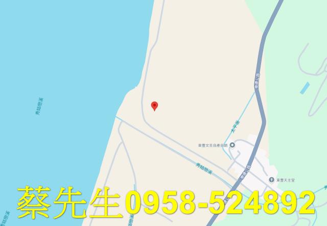 玉里拍賣農地-7
