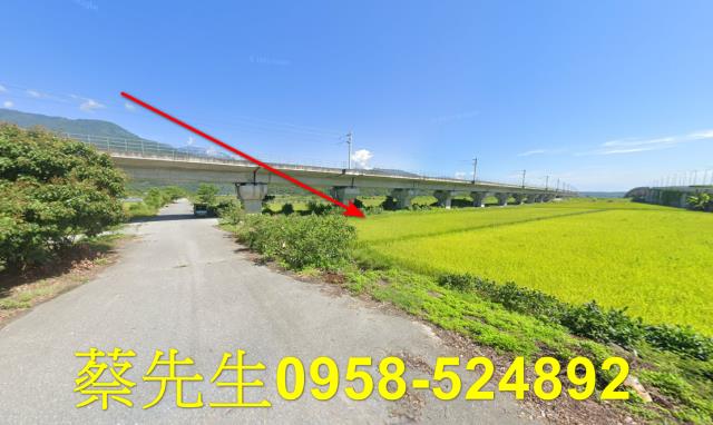 玉里法拍農地-12