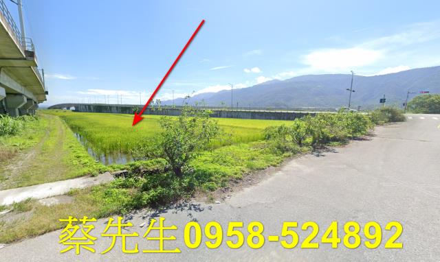 玉里法拍農地-13