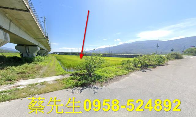 玉里法拍農地-14