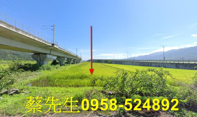 玉里法拍農地-0
