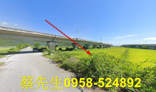 玉里法拍農地-3