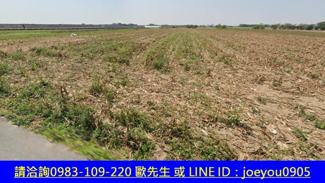 鹿草農地法拍-4