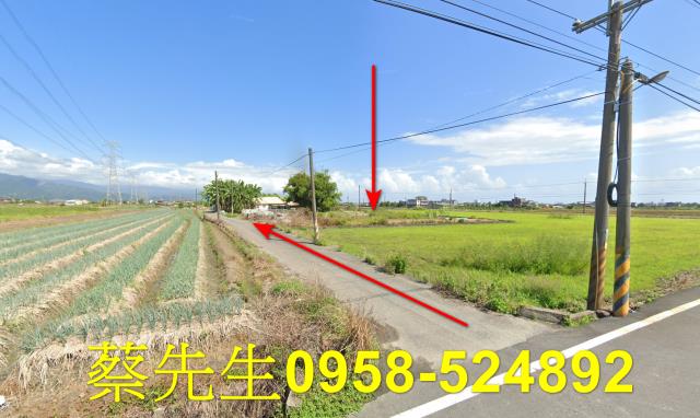 宜蘭三星建地法拍-0