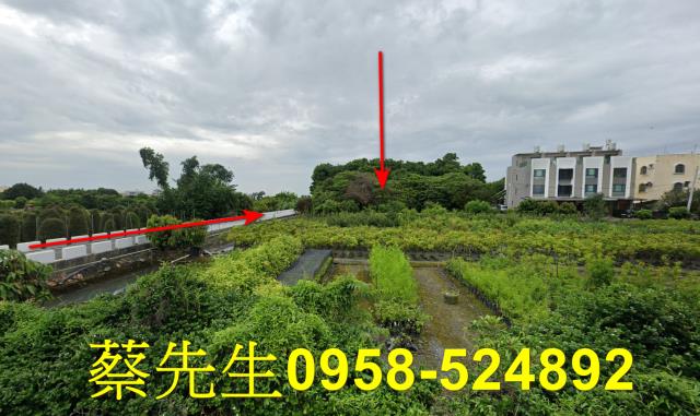 彰化法拍農地-11