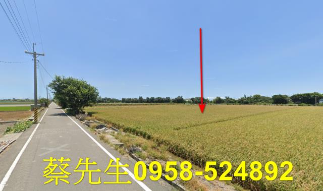 彰化農地法拍-11