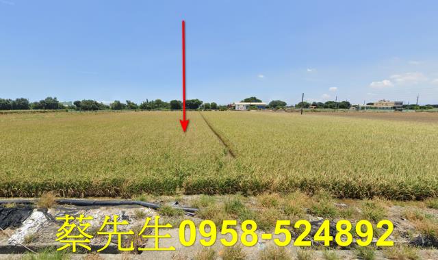 彰化農地法拍-0